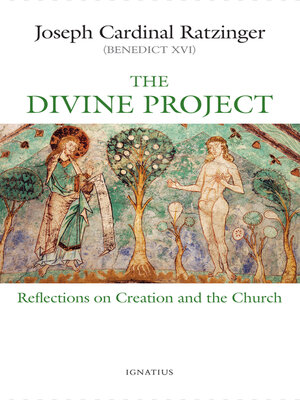 cover image of The Divine Project